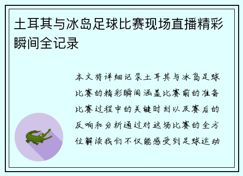 土耳其与冰岛足球比赛现场直播精彩瞬间全记录